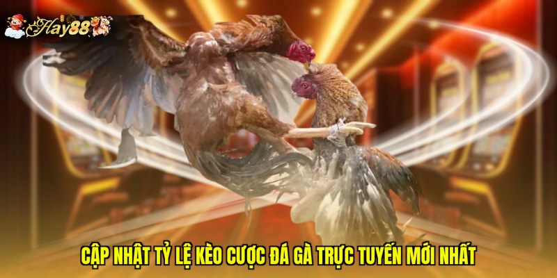 Cập nhật tỷ lệ kèo cược đá gà trực tuyến mới nhất