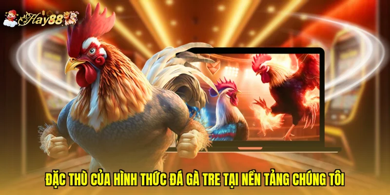 Đặc thù của hình thức đá gà tre tại nền tảng chúng tôi