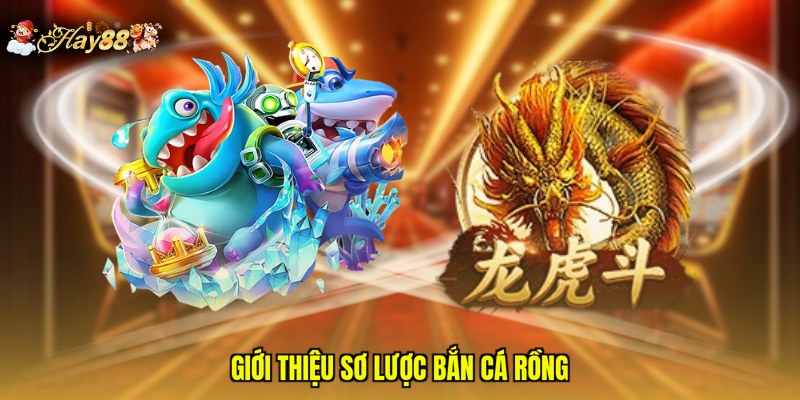 Giới thiệu sơ lược bắn cá rồng