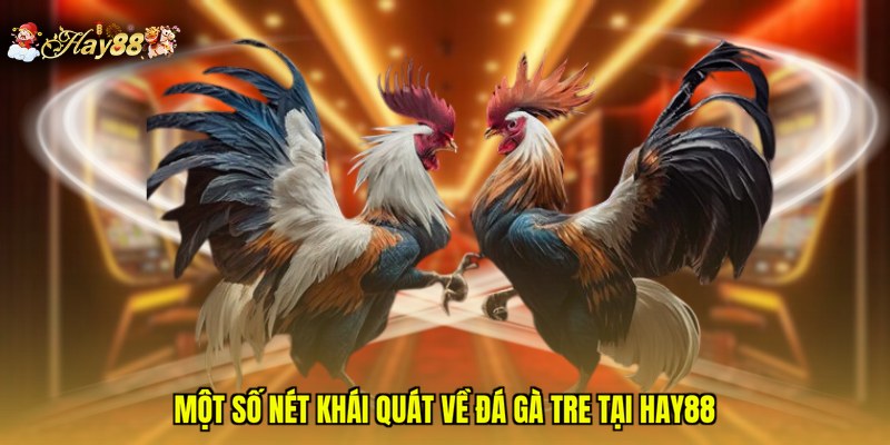 Một số nét khái quát về đá gà tre