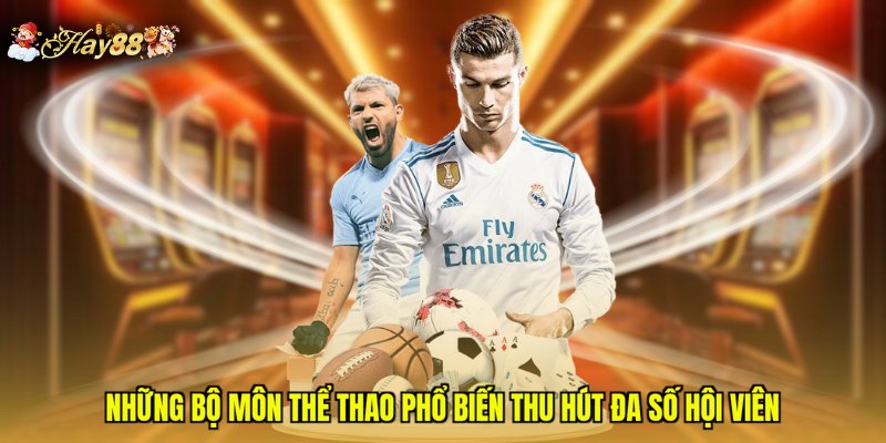 Những bộ môn thể thao phổ biến thu hút đa số hội viên