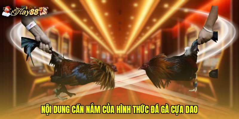 Nội dung cần nắm của hình thức đá gà cựa dao
