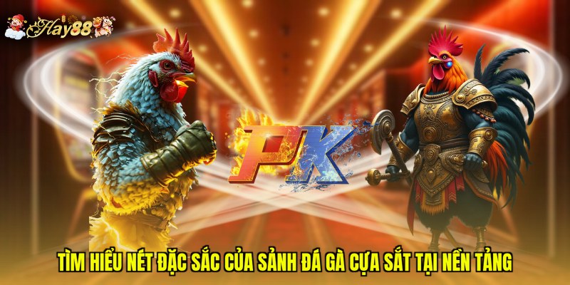 Tìm hiểu nét đặc sắc của sảnh đá gà cựa sắt tại nền tảng