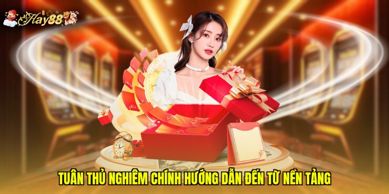 Tuân thủ nghiêm chính hướng dẫn đến từ nền tảng