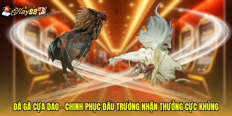 Đá Gà Cựa Dao - Chinh Phục Đấu Trường Nhận Thưởng Cực Khủng